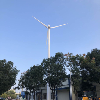 Lâmina elétrica da fibra de vidro do gerador de vento da C.A. do gerador de turbina eólica 30kw das multi cores 220V